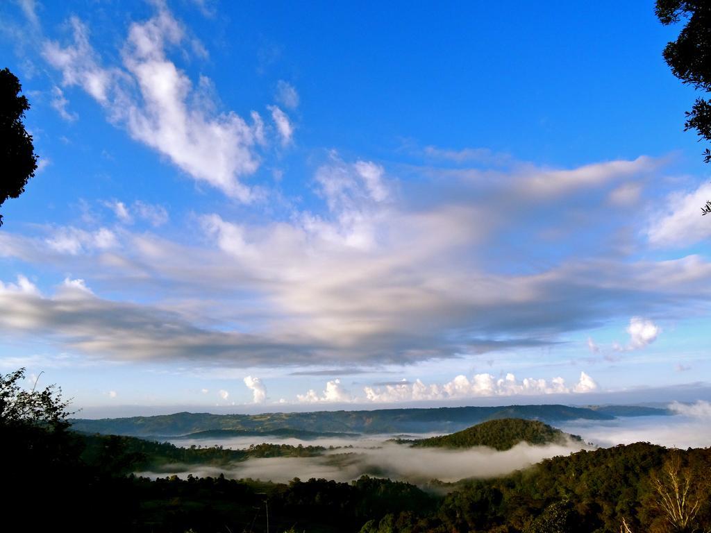 Maleny Luxury Cottages Camera foto